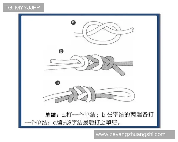从零基础到高手之路:全面解析攀岩技巧与训练方法 从零基础到高手之路:全面解析攀岩技巧与训练方法